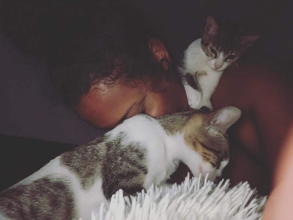 Brittney resting with her two cats